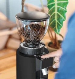 Ceado E6P Coffee Grinder With Filter Burrs 14 Ceado E6P Coffee Grinder With Filter Burrs -Coffee Series Store 50105db ceadoe6pfilterburrsondemandcoffeegrinderamb01lr