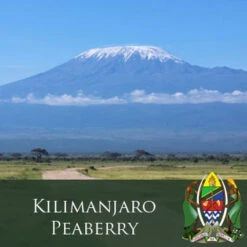 J. Martinez Tanzania Kilimanjaro Peaberry Coffee