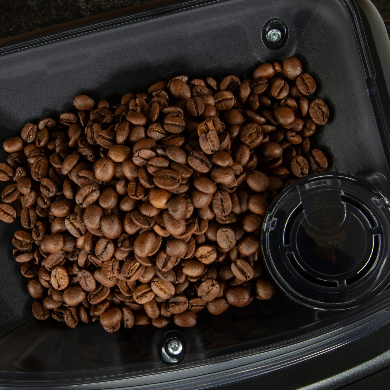 Gaggia Cadorna Barista Plus Automatic Espresso Machine - Zebrano Grain 9 Gaggia Cadorna Barista Plus Automatic Espresso Machine - Zebrano Grain - Image 7