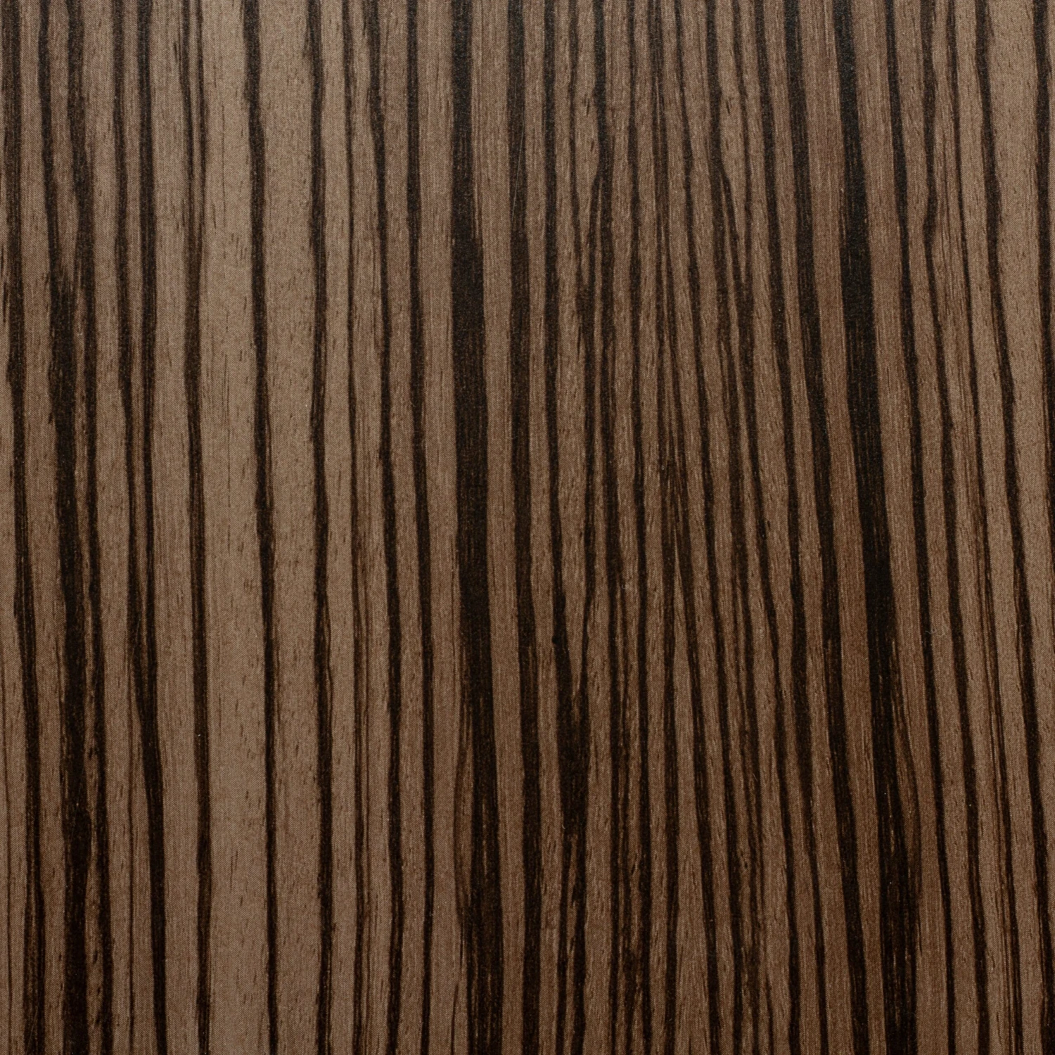 Gaggia Cadorna Barista Plus Automatic Espresso Machine - Zebrano Grain 6 Gaggia Cadorna Barista Plus Automatic Espresso Machine - Zebrano Grain - Image 4